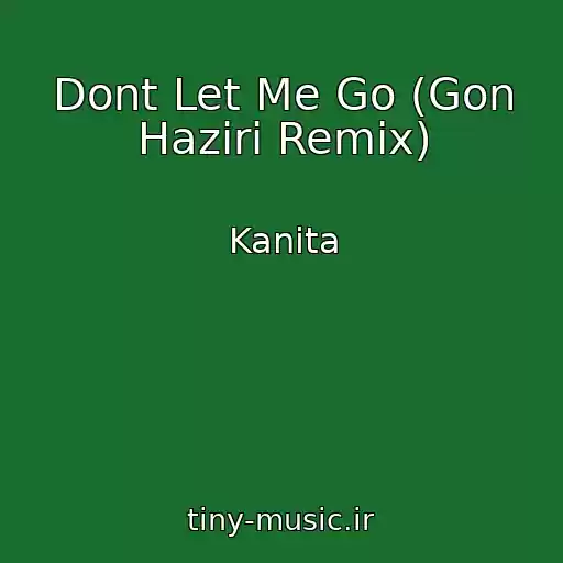 کاور آهنگ Dont Let Me Go (Gon Haziri Remix) از Kanita