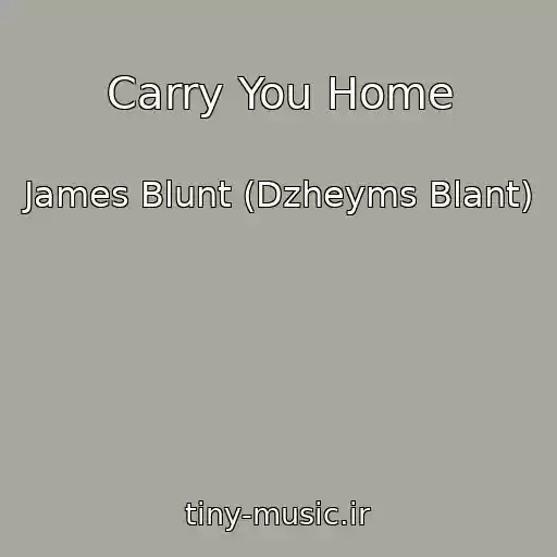 کاور آهنگ Carry You Home از James Blunt (Dzheyms Blant)