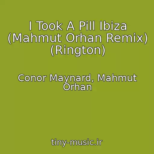 کاور آهنگ I Took A Pill Ibiza (Mahmut Orhan Remix) (Rington) از Conor Maynard, Mahmut Orhan