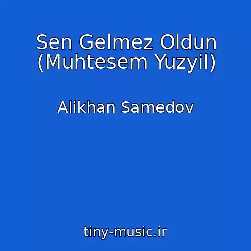 کاور آهنگ Sen Gelmez Oldun (Muhtesem Yuzyil) از Alikhan Samedov