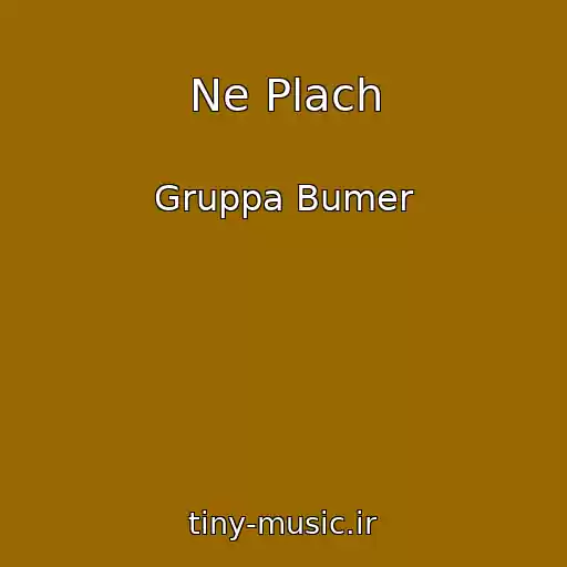 کاور آهنگ Ne Plach از Gruppa Bumer