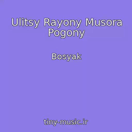 کاور آهنگ Ulitsy Rayony Musora Pogony از Bosyak