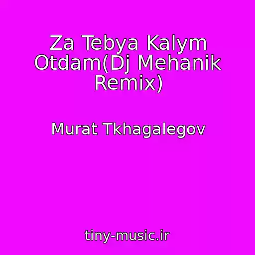 کاور آهنگ Za Tebya Kalym Otdam(Dj Mehanik Remix) از Murat Tkhagalegov