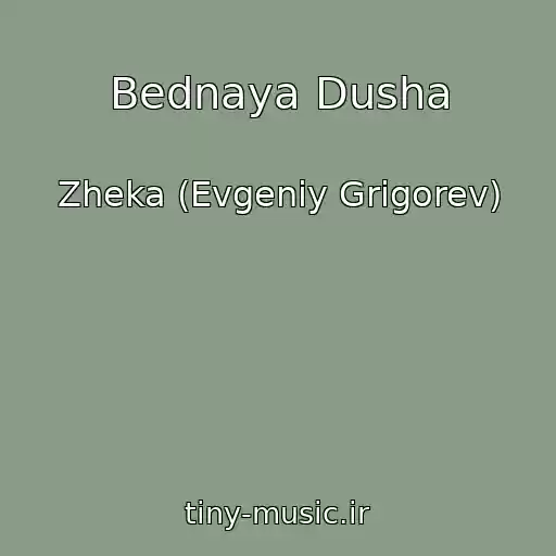 کاور آهنگ Bednaya Dusha از Zheka (Evgeniy Grigorev)