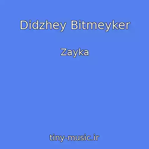 کاور آهنگ Didzhey Bitmeyker از Zayka