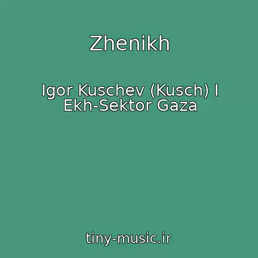 کاور آهنگ Zhenikh از Igor Kuschev (Kusch) I Ekh-Sektor Gaza