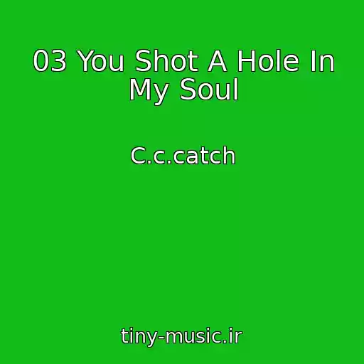 کاور آهنگ 03 You Shot A Hole In My Soul از C.c.catch