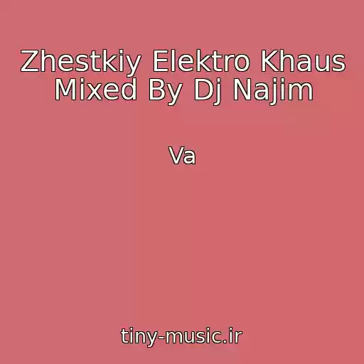 کاور آهنگ Zhestkiy Elektro Khaus Mixed By Dj Najim از Va