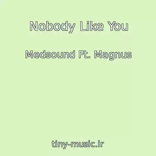 کاور آهنگ Nobody Like You از Medsound Ft. Magnus