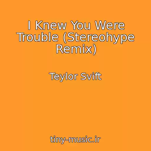 کاور آهنگ I Knew You Were Trouble (Stereohype Remix) از Teylor Svift