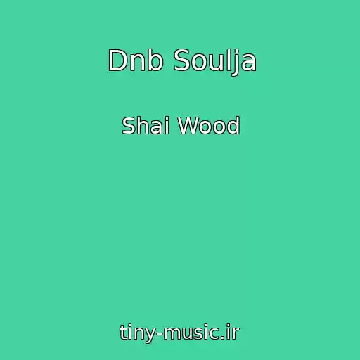 کاور آهنگ Dnb Soulja از Shai Wood