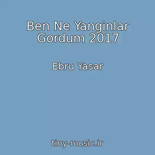 کاور آهنگ Ben Ne Yanginlar Gordum 2017 از Ebru Yasar