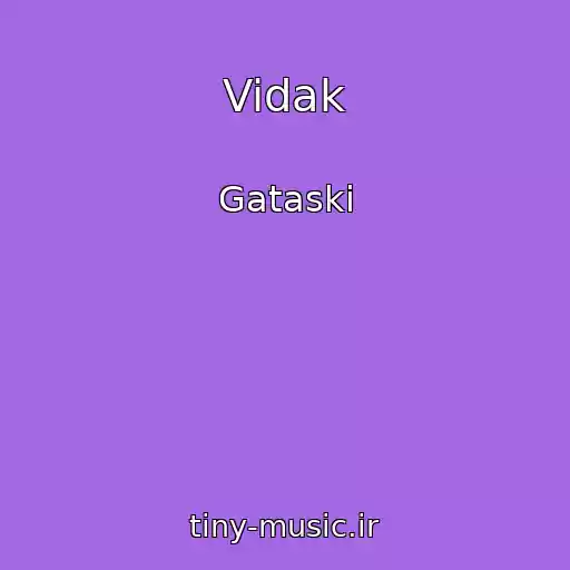 کاور آهنگ Vidak از Gataski