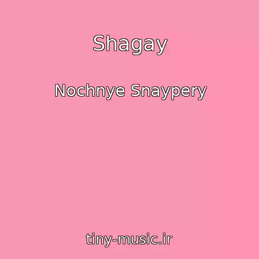 کاور آهنگ Shagay از Nochnye Snaypery