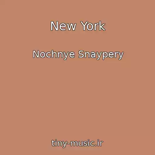 کاور آهنگ New York از Nochnye Snaypery