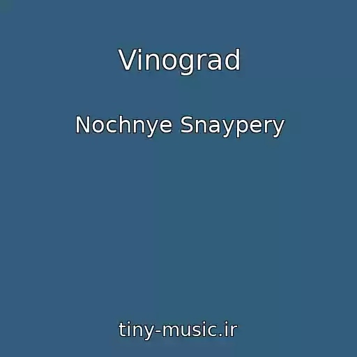 کاور آهنگ Vinograd از Nochnye Snaypery