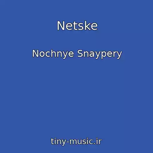 کاور آهنگ Netske از Nochnye Snaypery
