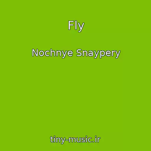 کاور آهنگ Fly از Nochnye Snaypery