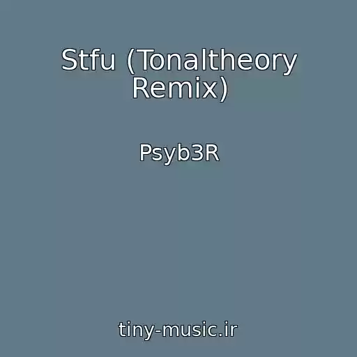 کاور آهنگ Stfu (Tonaltheory Remix) از Psyb3R