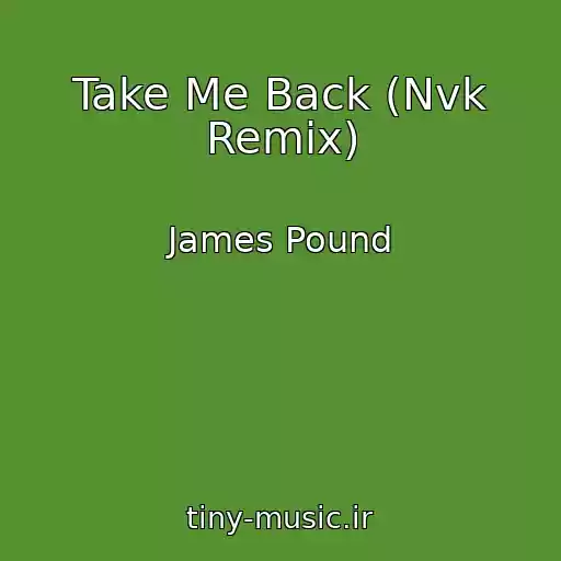 کاور آهنگ Take Me Back (Nvk Remix) از James Pound