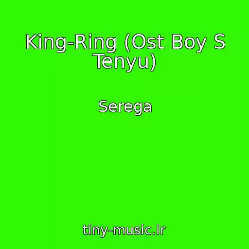 کاور آهنگ King-Ring (Ost Boy S Tenyu) از Serega