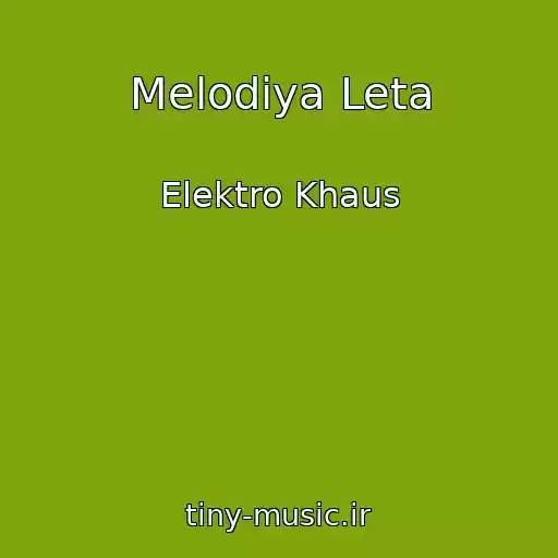 کاور آهنگ Melodiya Leta از Elektro Khaus