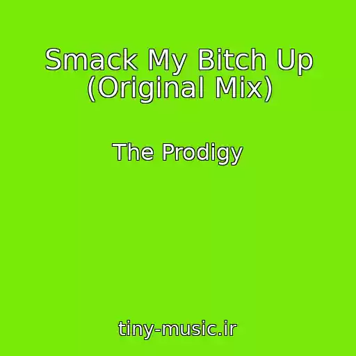 کاور آهنگ Smack My Bitch Up (Original Mix) از The Prodigy