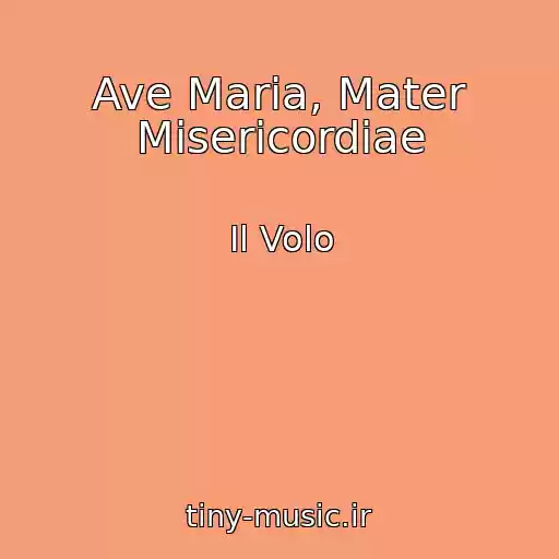 کاور آهنگ Ave Maria, Mater Misericordiae از Il Volo