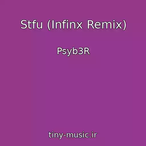 کاور آهنگ Stfu (Infinx Remix) از Psyb3R