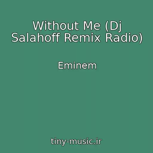 کاور آهنگ Without Me (Dj Salahoff Remix Radio) از Eminem