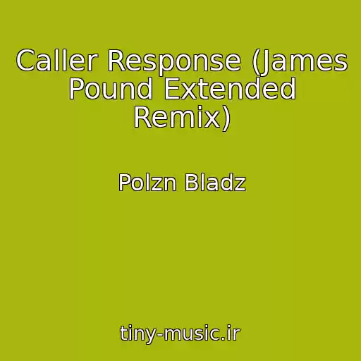 کاور آهنگ Caller Response (James Pound Extended Remix) از Polzn Bladz