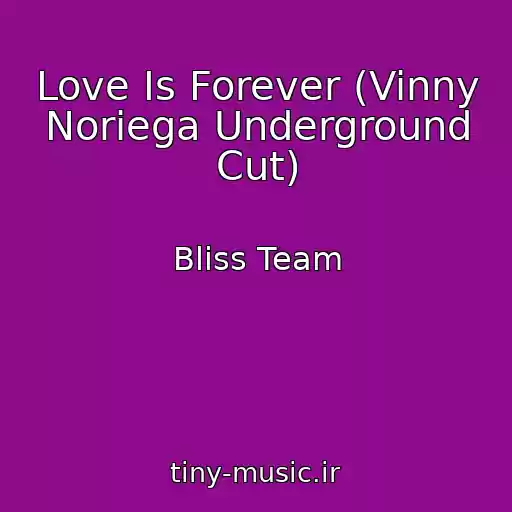 کاور آهنگ Love Is Forever (Vinny Noriega Underground Cut) از Bliss Team