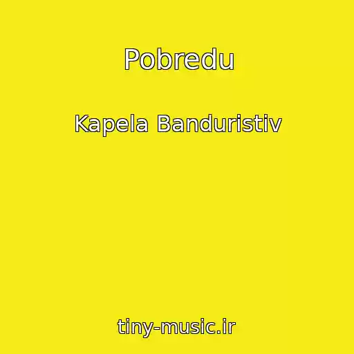 کاور آهنگ Pobredu از Kapela Banduristіv