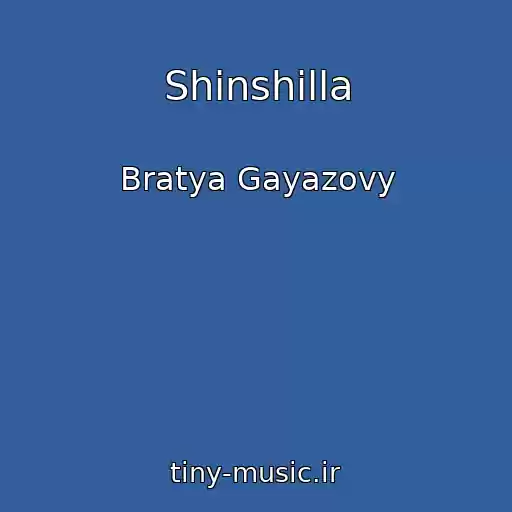 کاور آهنگ Shinshilla از Bratya Gayazovy