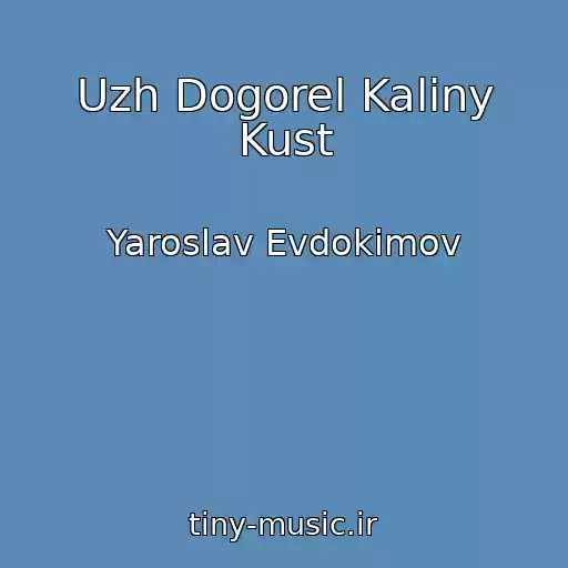 کاور آهنگ Uzh Dogorel Kaliny Kust از Yaroslav Evdokimov