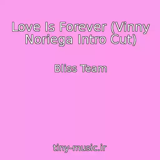 کاور آهنگ Love Is Forever (Vinny Noriega Intro Cut) از Bliss Team