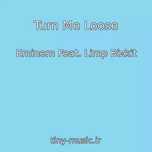 کاور آهنگ Turn Me Loose از Eminem Feat. Limp Bizkit