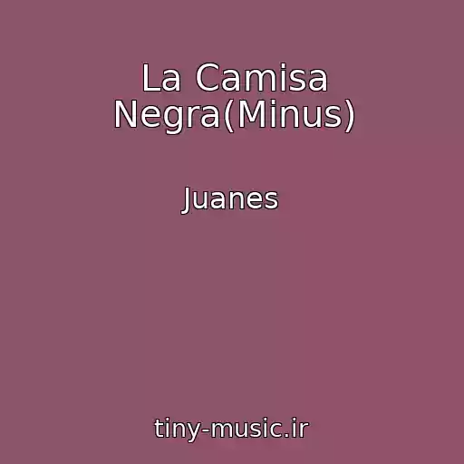 کاور آهنگ La Camisa Negra(Minus) از Juanes