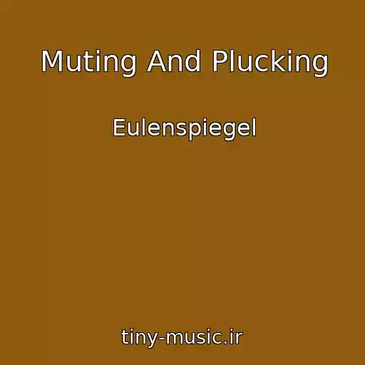 کاور آهنگ Muting And Plucking از Eulenspiegel