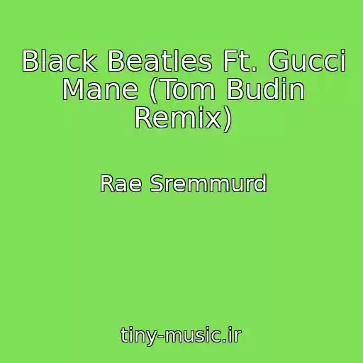 کاور آهنگ Black Beatles Ft. Gucci Mane (Tom Budin Remix) از Rae Sremmurd