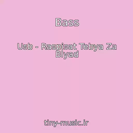 کاور آهنگ Bass از Usb - Raspisat Tebya Za Blyad