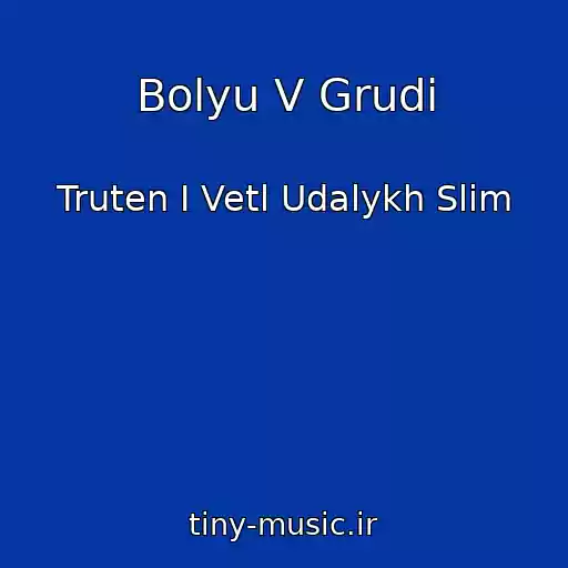 کاور آهنگ Bolyu V Grudi از Truten I Vetl Udalykh Slim