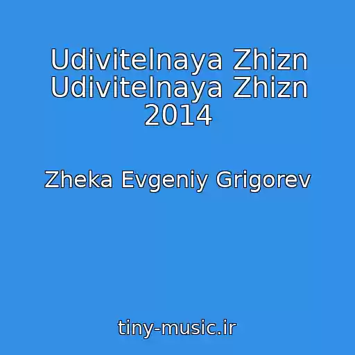 کاور آهنگ Udivitelnaya Zhizn Udivitelnaya Zhizn 2014 از Zheka Evgeniy Grigorev
