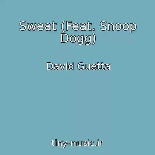 کاور آهنگ Sweat (Feat. Snoop Dogg) از David Guetta