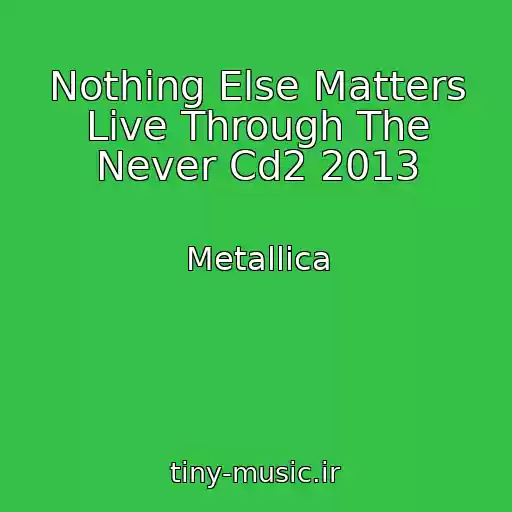 کاور آهنگ Nothing Else Matters Live Through The Never Cd2 2013 از Metallica