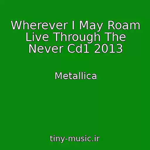 کاور آهنگ Wherever I May Roam Live Through The Never Cd1 2013 از Metallica