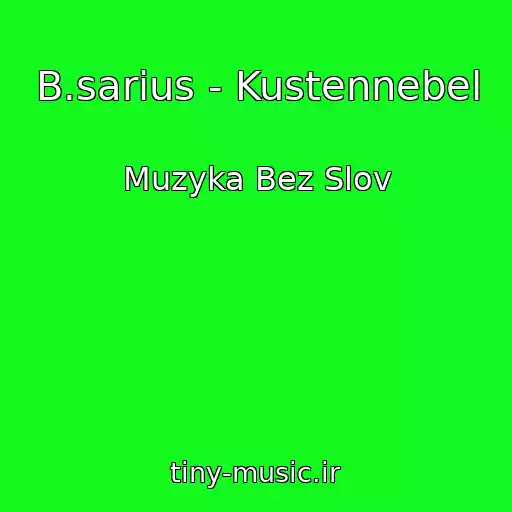 کاور آهنگ B.sarius - Kustennebel از Muzyka Bez Slov