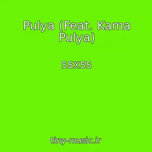 کاور آهنگ Pulya (Feat. Kama Pulya) از 55X55