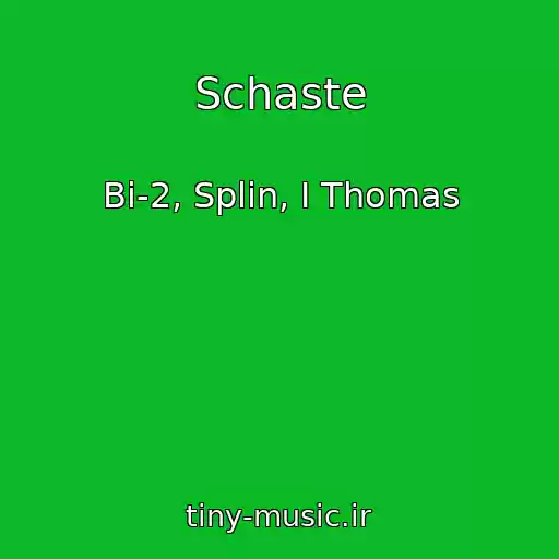 کاور آهنگ Schaste از Bi-2, Splin, I Thomas