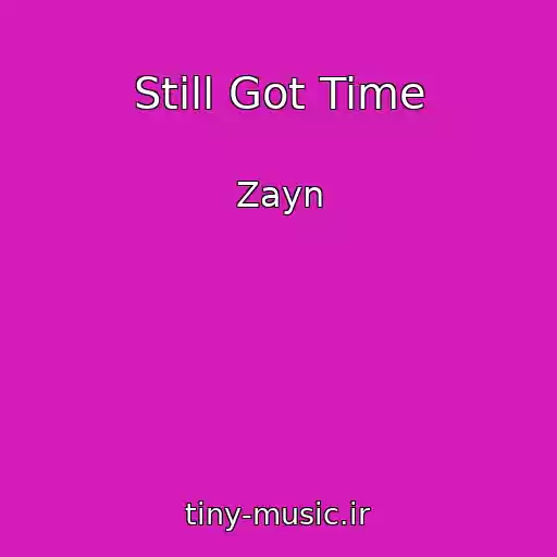 کاور آهنگ Still Got Time از Zayn